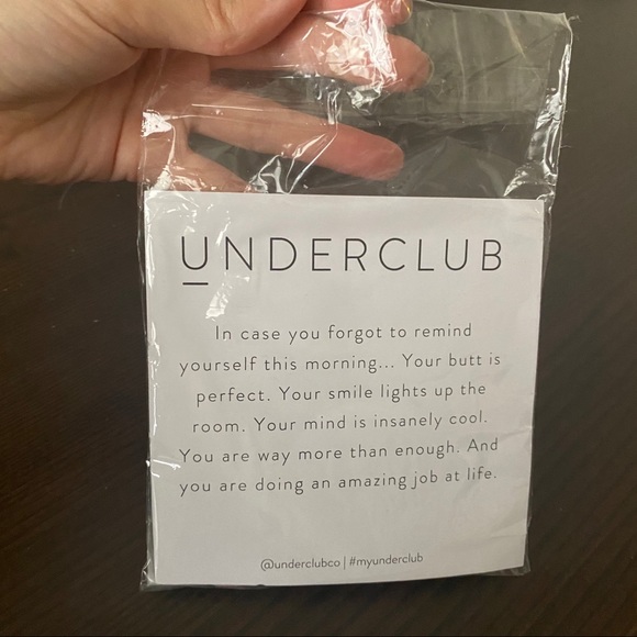 NWT Underclub Bikini Sheer Toast Panties - Picture 5 of 6